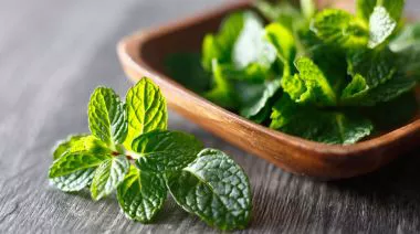 garnishing-instructions-image